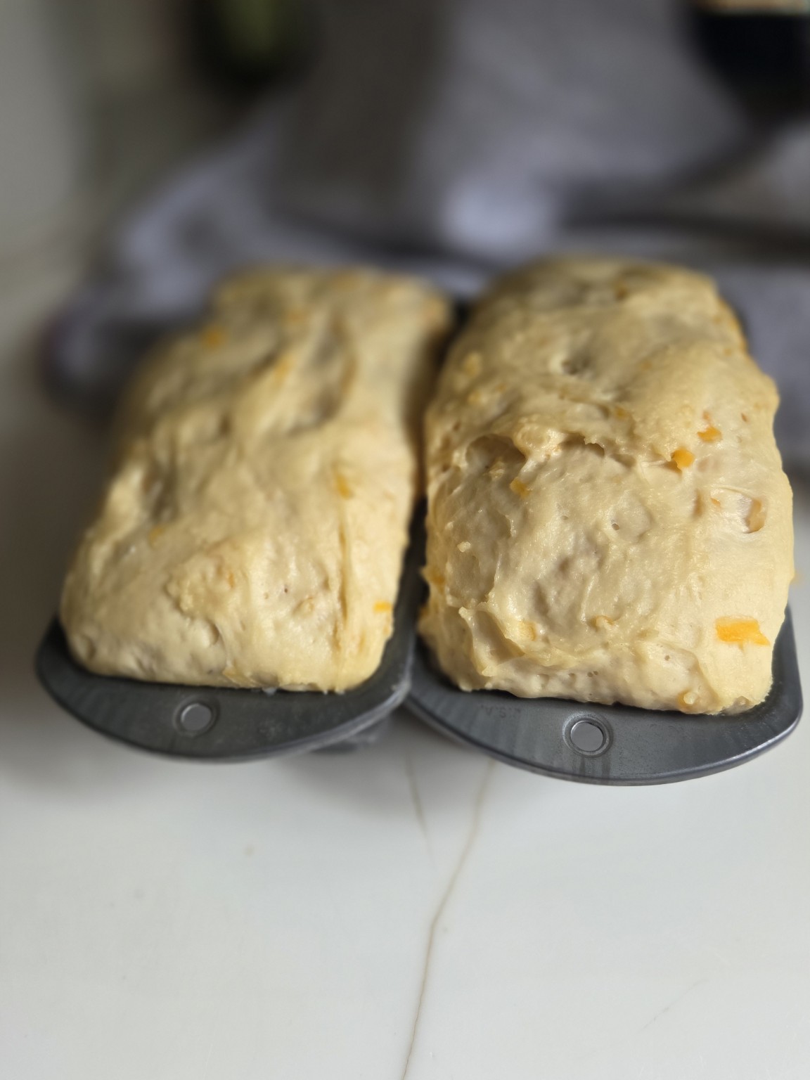 Two loaves of homemade cheese bread dough in baking pans, ready for the oven
